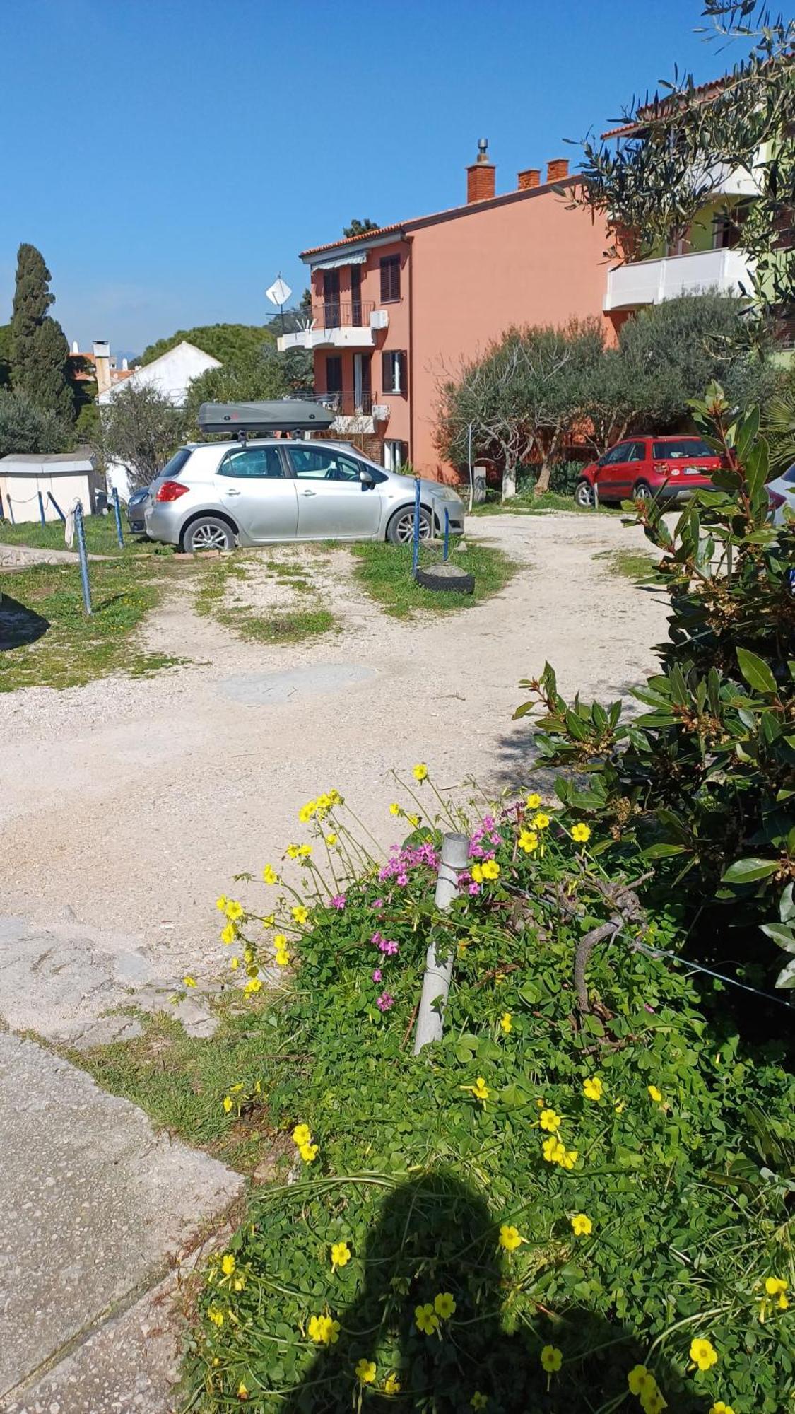 Dairos2 Daire Mali Lošinj Dış mekan fotoğraf