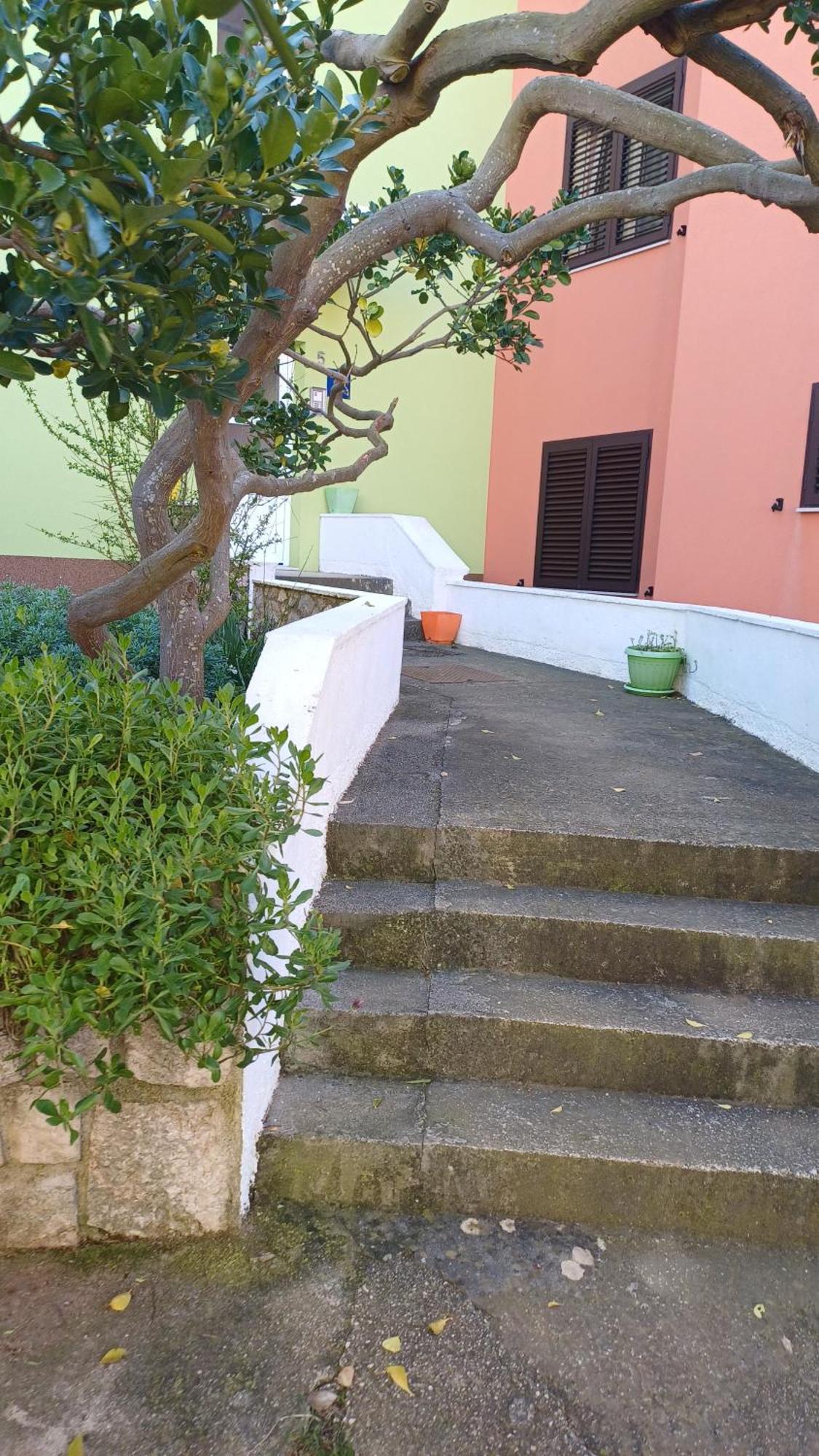 Dairos2 Daire Mali Lošinj Dış mekan fotoğraf